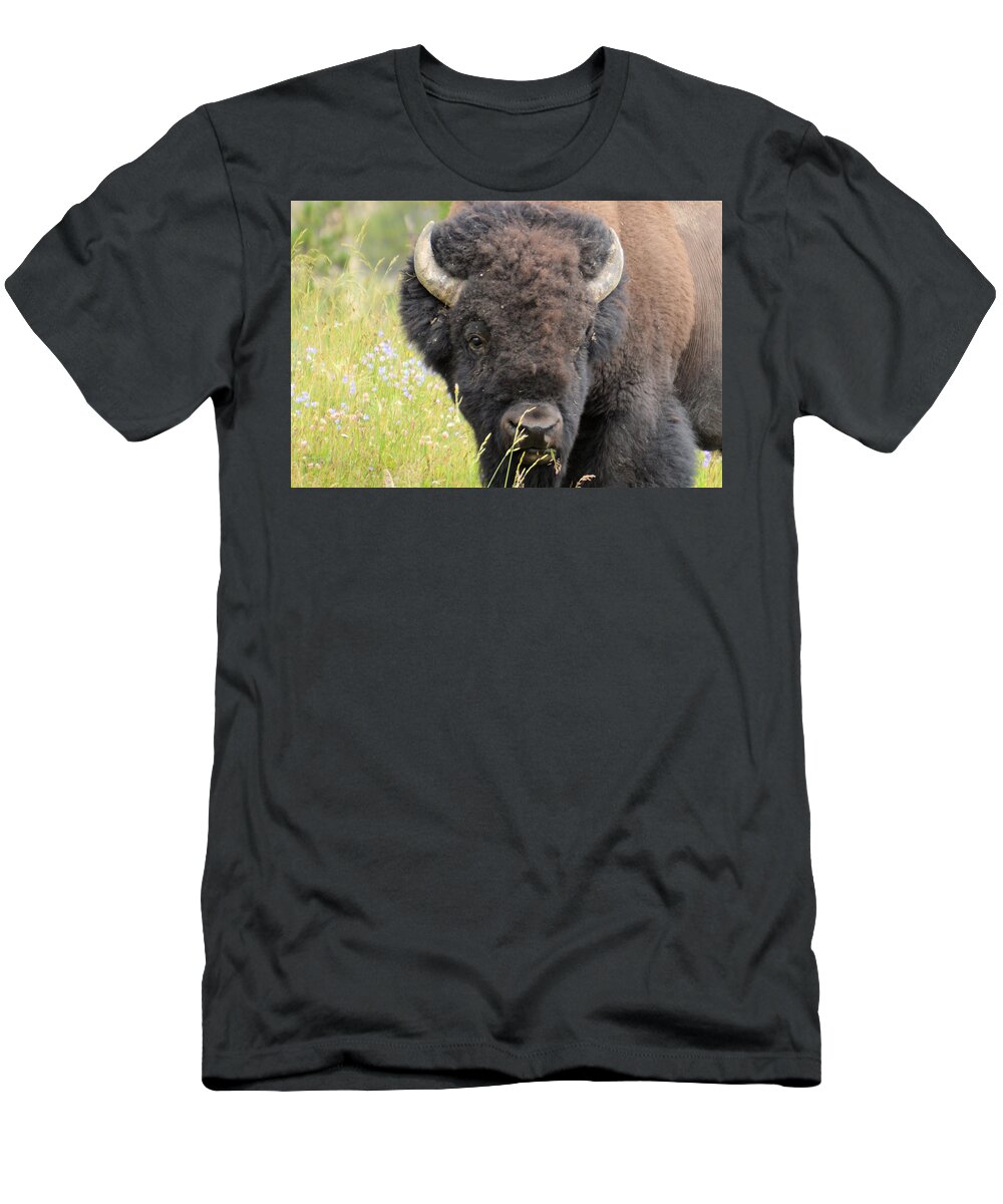 yellowstone National Park T-Shirt featuring the photograph Buffalo in flowers by Wendy Fox