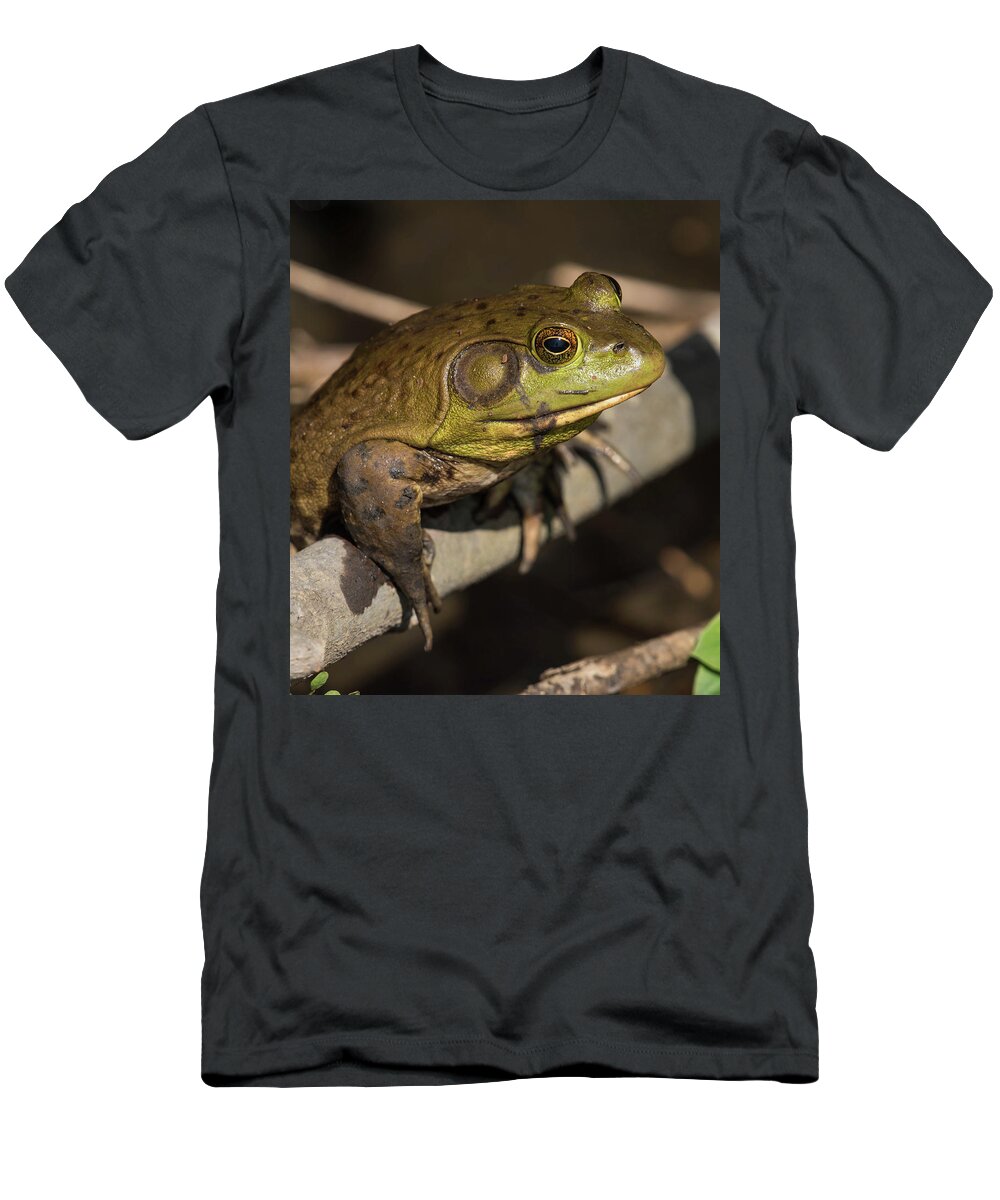 Frog T-Shirt featuring the photograph Bullfrog by Jody Partin