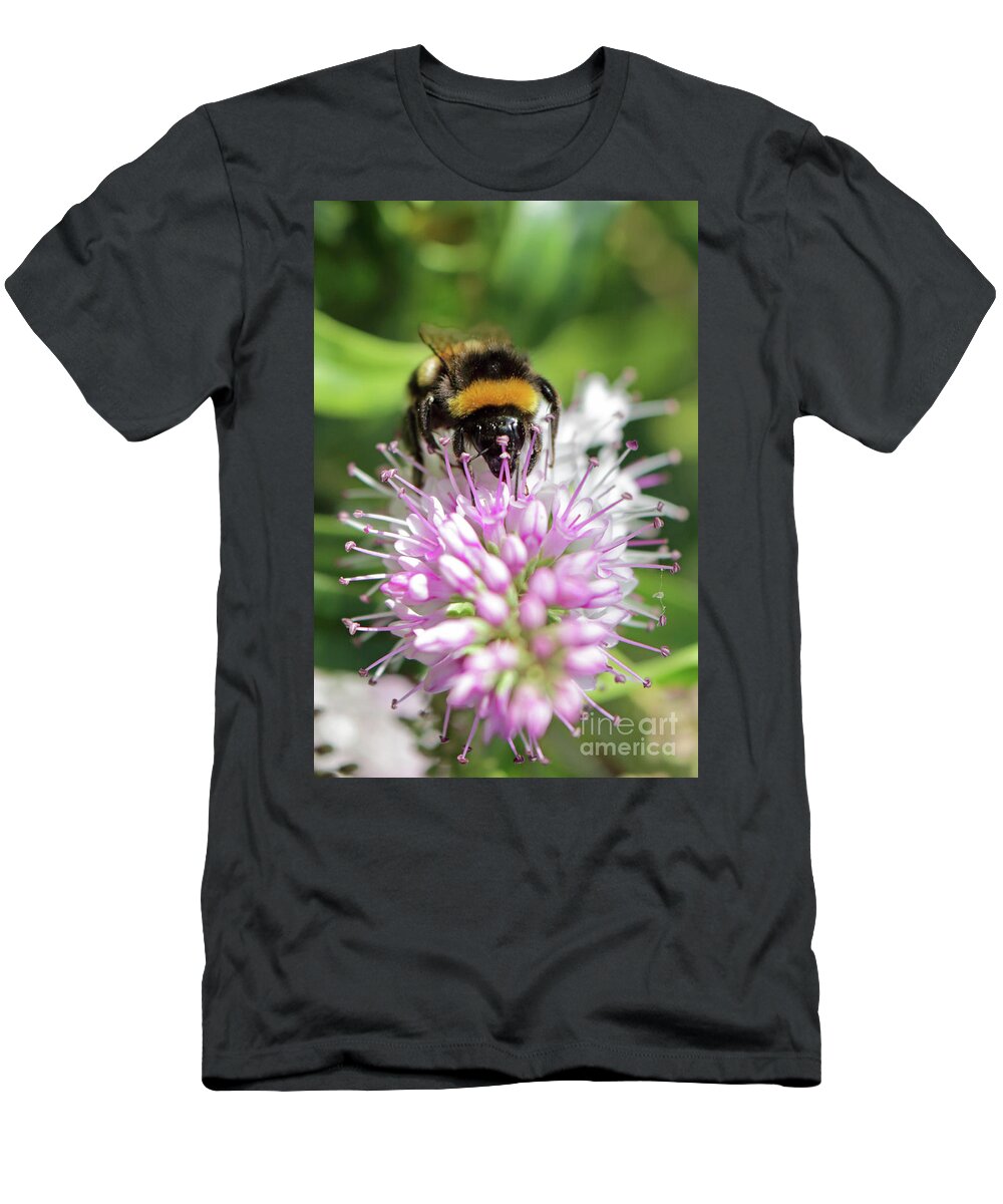 Bumble Bee On Hebe T-Shirt featuring the photograph Bumble bee on hebe2 by Julia Gavin