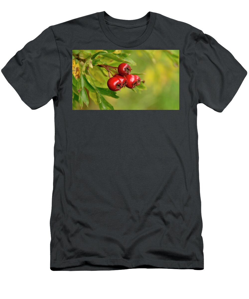 Bunch T-Shirt featuring the photograph Bunch of Hawthorn berries by Elena Perelman