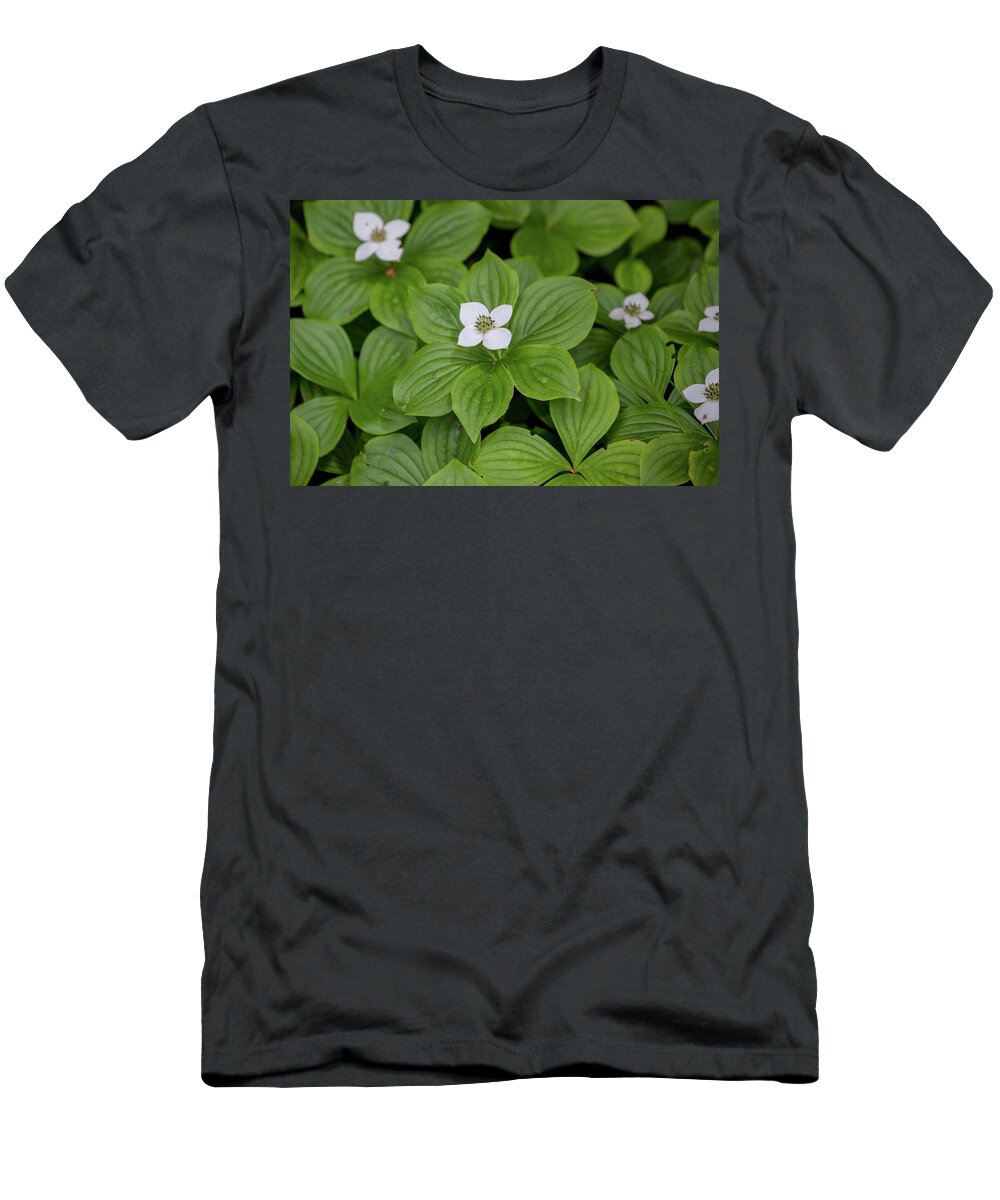 Ronnie Maum T-Shirt featuring the photograph Bunchberry by Ronnie Maum