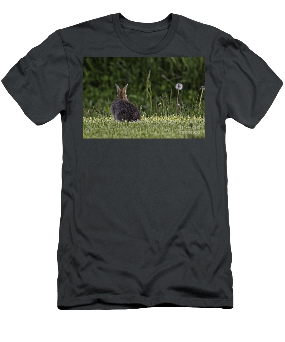Jan Killian T-Shirt featuring the photograph Bunny Butt by Jan Killian