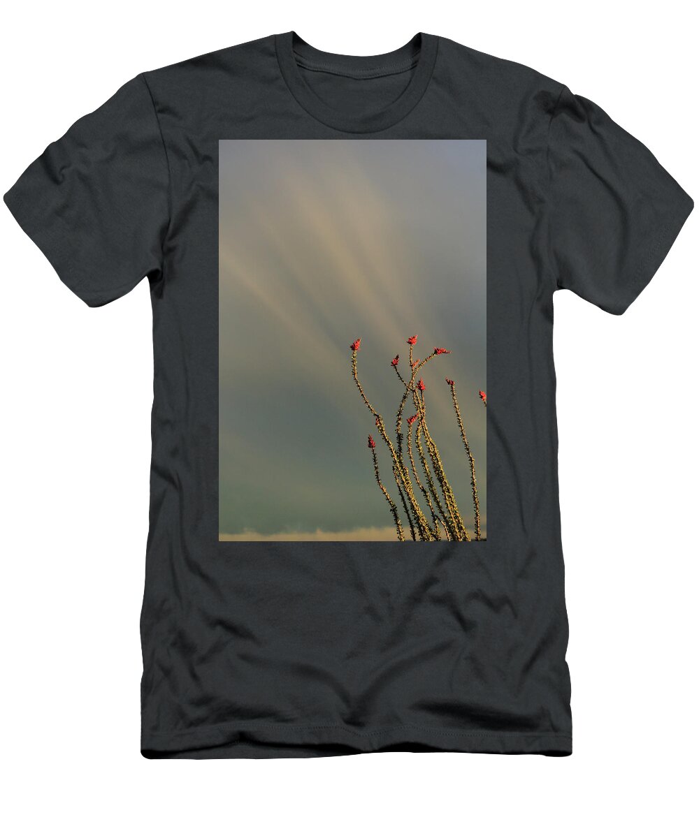 Ocotillo T-Shirt featuring the photograph Burning Bush by David Diaz