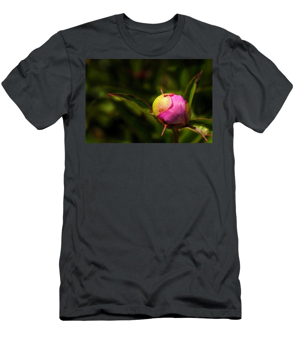 Peony T-Shirt featuring the photograph Busting Out by John Roach