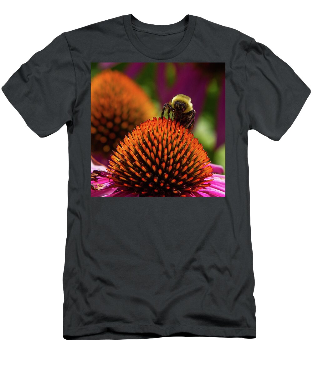 Bee T-Shirt featuring the photograph Busy as a ... Just busy by Darryl Hendricks