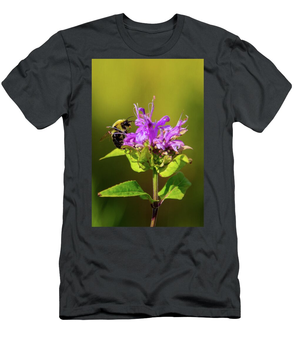 Bee T-Shirt featuring the photograph Busy as a Bee by Darryl Hendricks