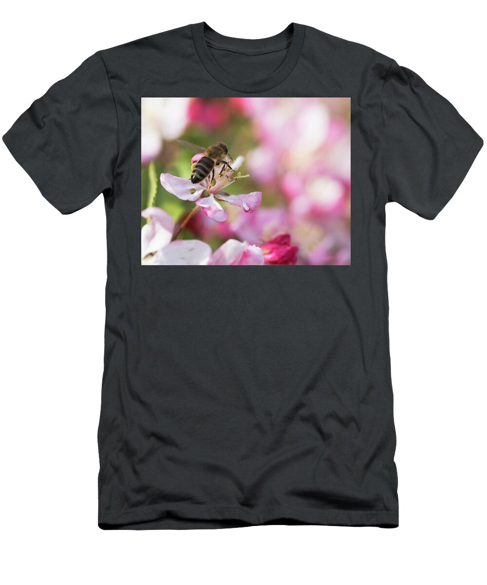 Bee T-Shirt featuring the photograph Busy Bee on a Crabapple Tree by Catherine Avilez