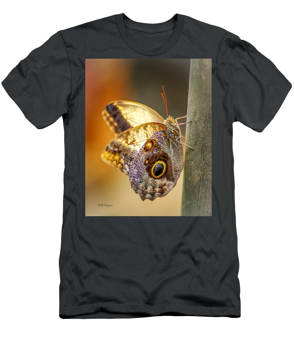 Butterfly T-Shirt featuring the photograph Butterfly 02 by Will Wagner