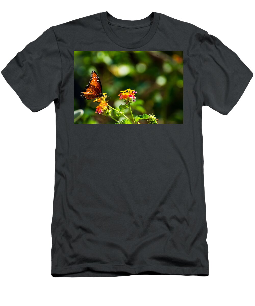 Butterfly T-Shirt featuring the photograph Butterfly on a Flower by Douglas Killourie