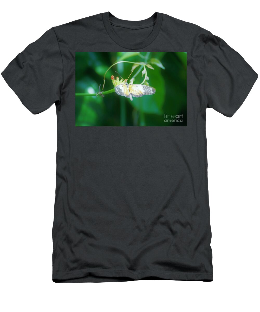 Cleveland Ohio Butterfly T-Shirt featuring the photograph c4 by Merle Grenz