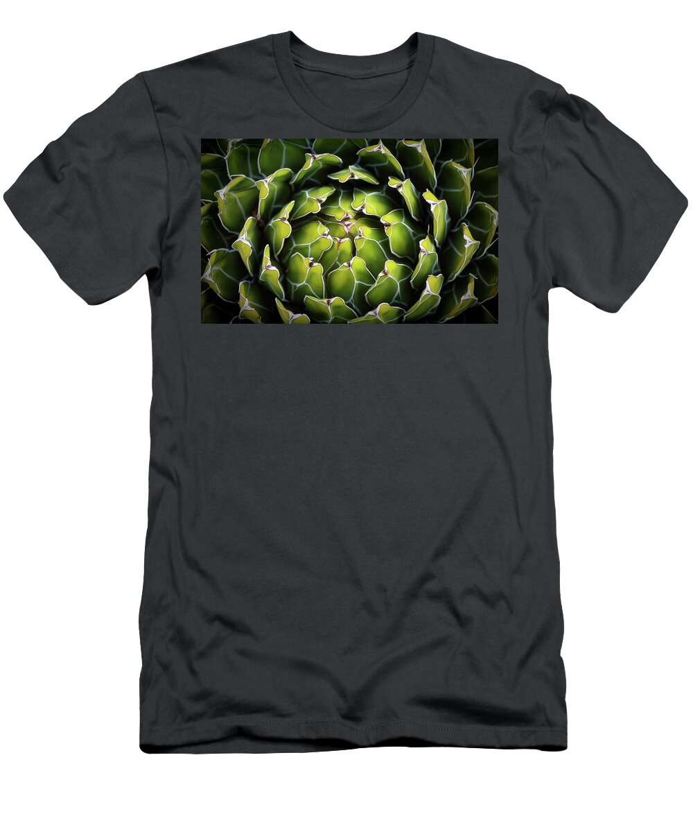 Cacti T-Shirt featuring the photograph Cacti by Elaine Malott