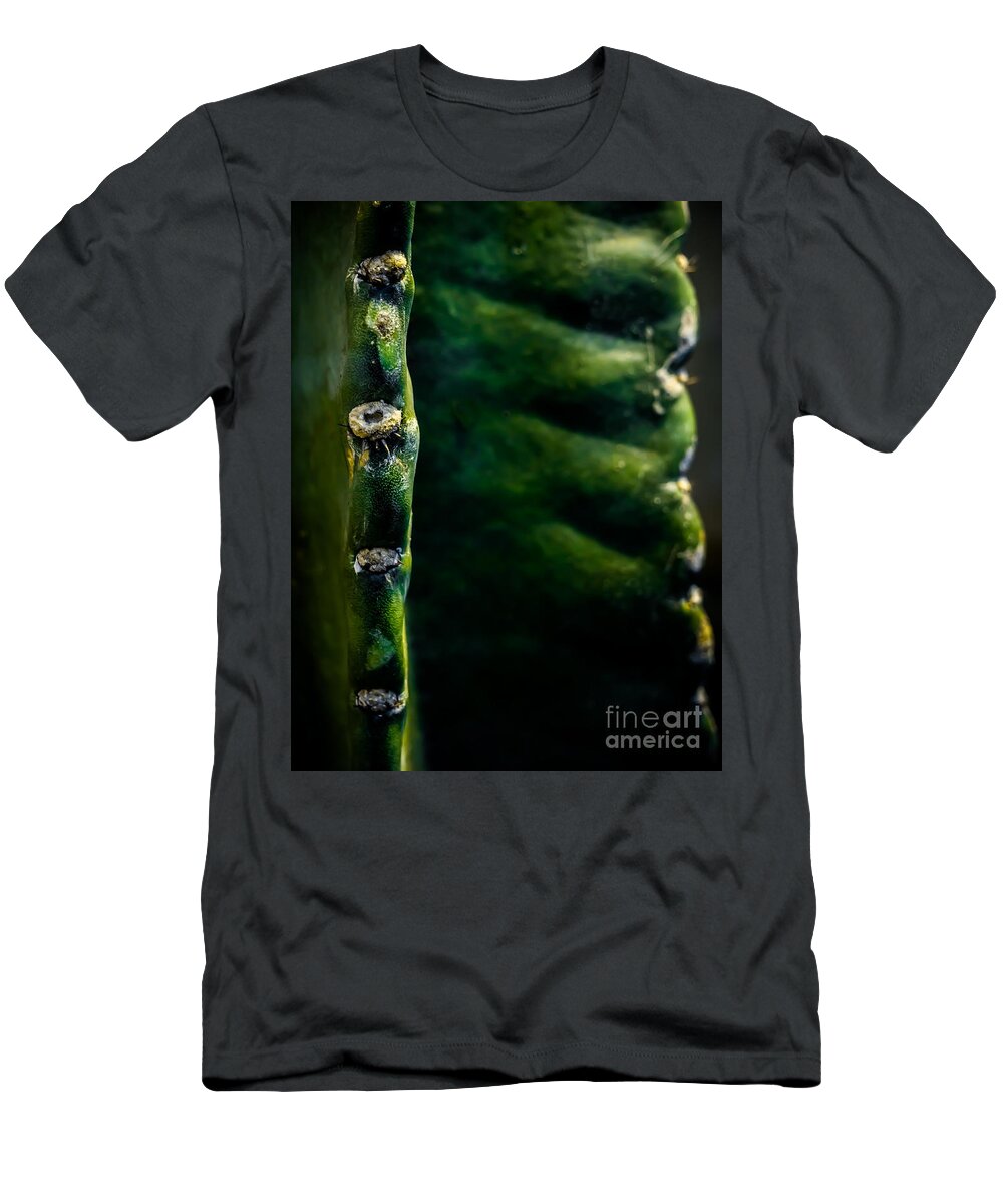 Leaf T-Shirt featuring the photograph Cactus Abstract by James Aiken