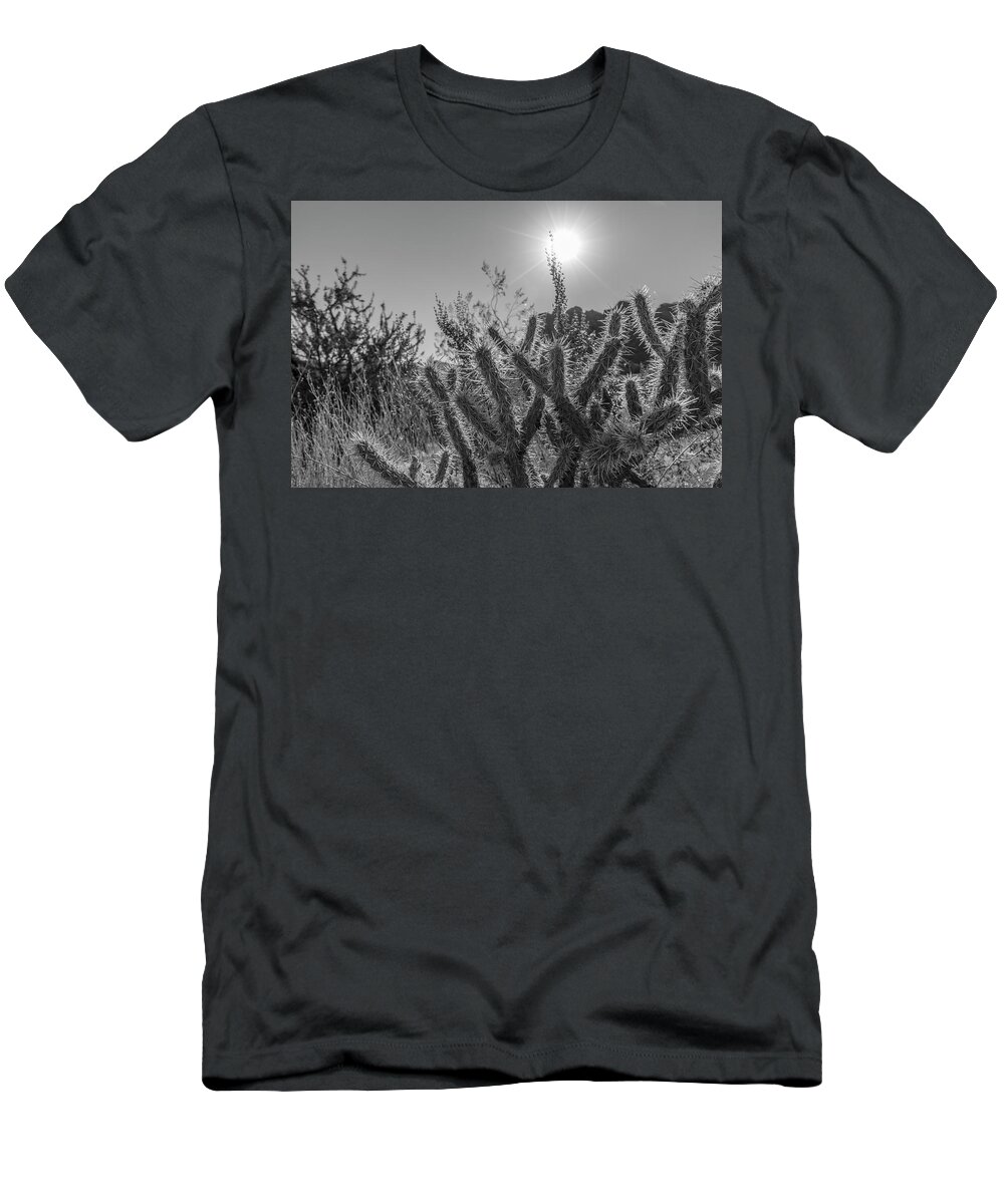 American West T-Shirt featuring the photograph Cactus and Sun Valley of Fire State Park by John McGraw