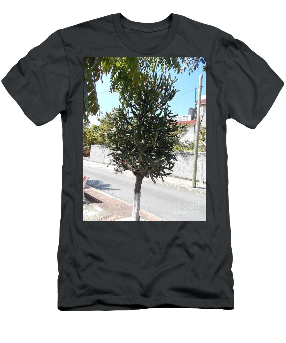 Tree T-Shirt featuring the photograph Cactus tree in Cozumel, Mexico by Nancy Graham