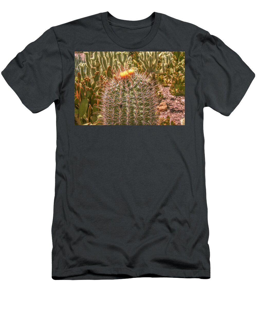 Cactus T-Shirt featuring the photograph Cactus yellowtop by Darrell Foster
