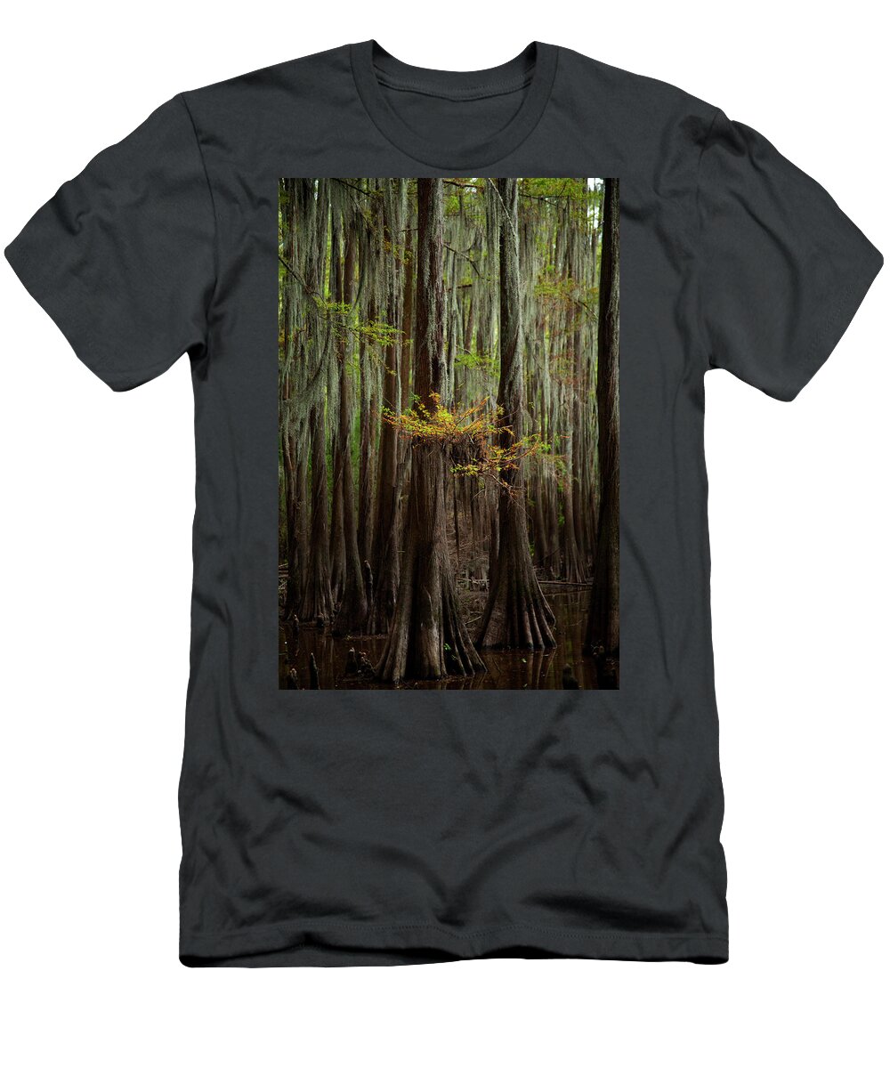 Swamp Trees T-Shirt featuring the photograph Caddo Lake #5 by David Chasey