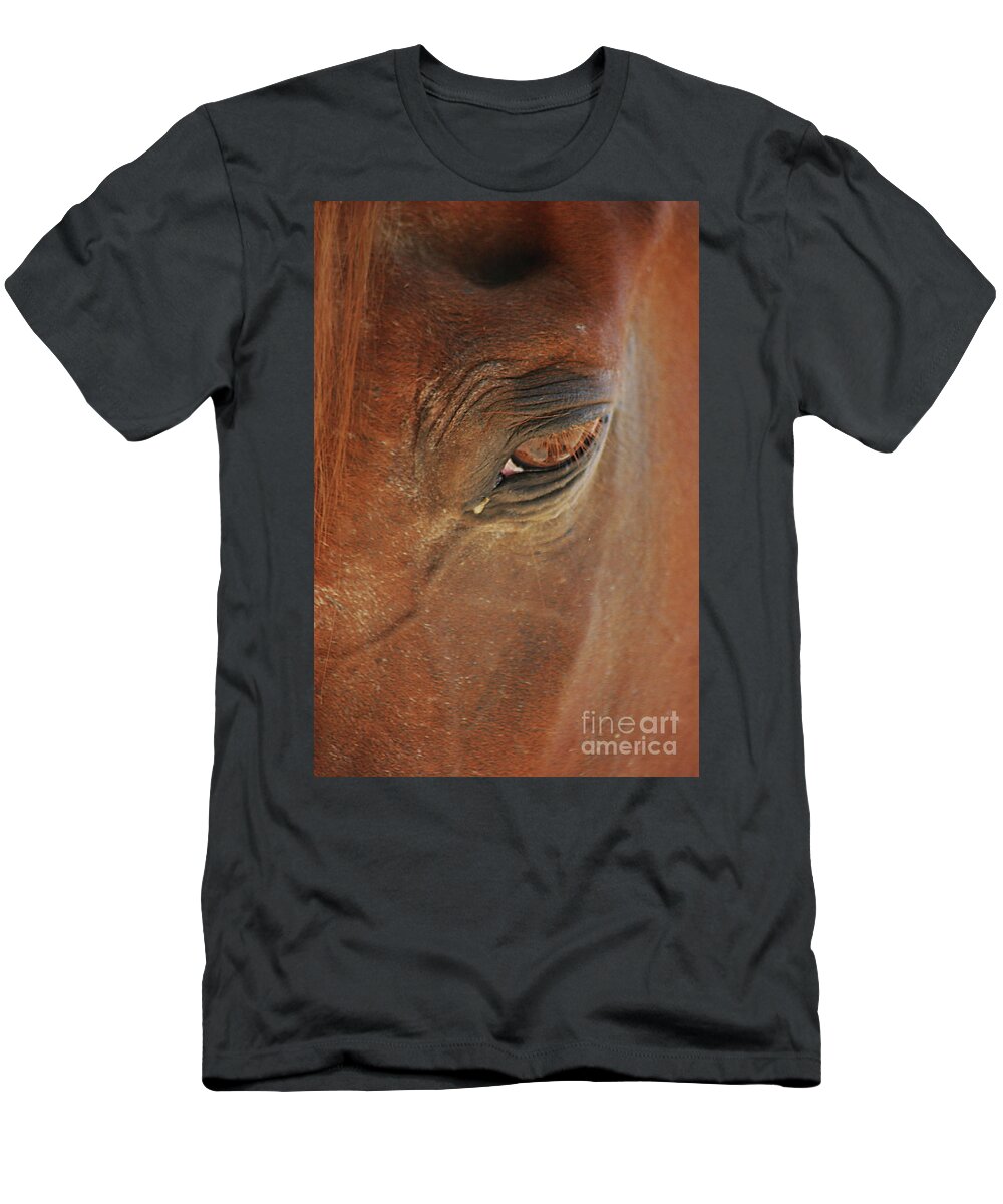 Cades Cove T-Shirt featuring the photograph Cades Cove Horse 20150907_39 by Tina Hopkins