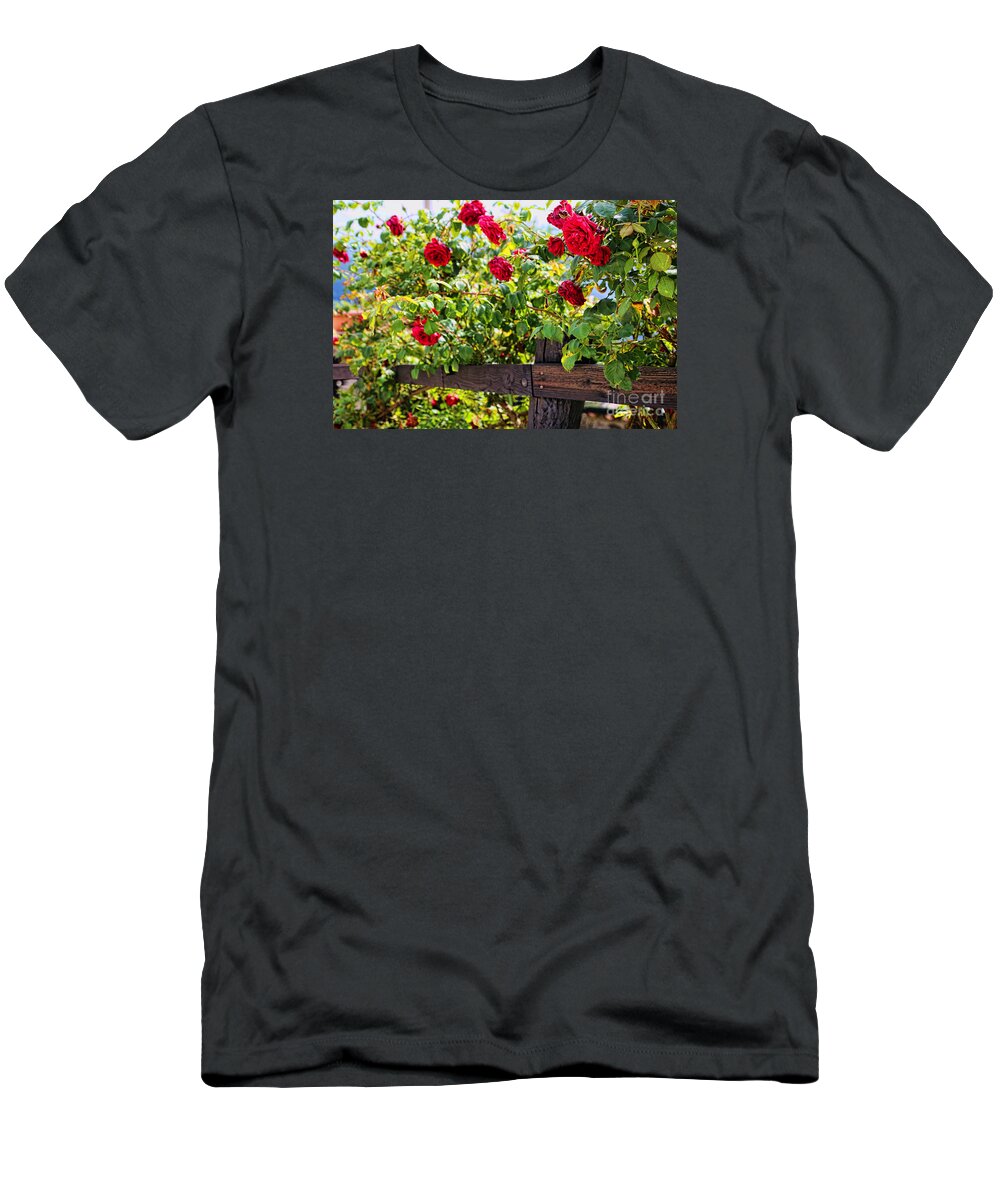 Cahecho T-Shirt featuring the photograph Cahecho 155A7790 by Diana Raquel Sainz