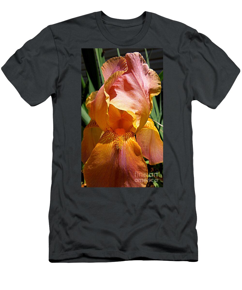 Iris T-Shirt featuring the photograph Cajun Sunset by Renee Trenholm