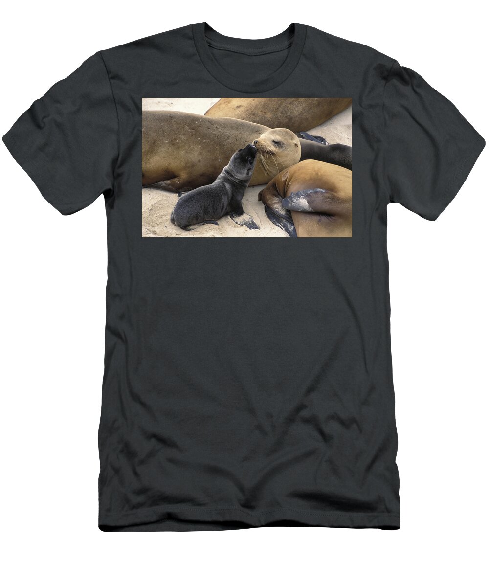 00761080 T-Shirt featuring the photograph California Sea Lion And Newborn Pup San by Suzi Eszterhas