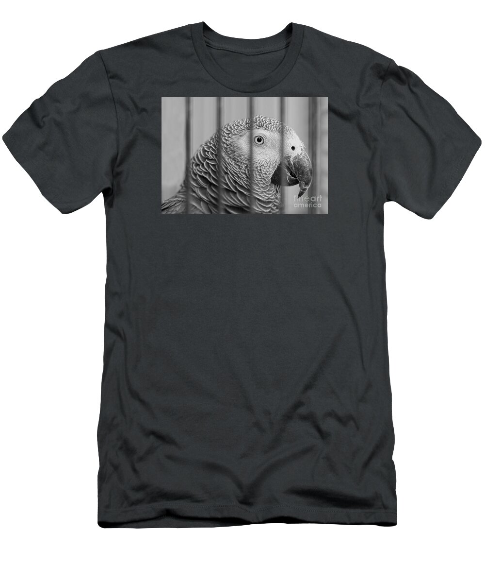 Parrot T-Shirt featuring the photograph Call My Lawyer by Barbara McMahon
