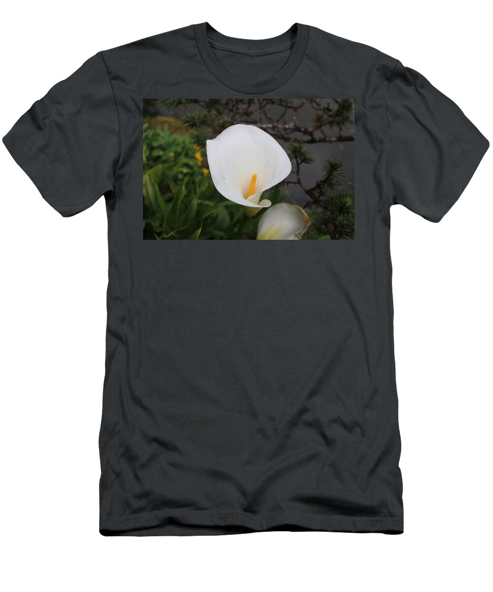 Flower T-Shirt featuring the photograph Calla Lily - 3 by Christy Pooschke