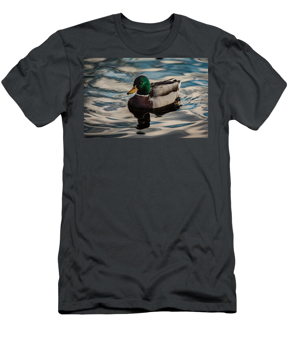 Anas Platyrhynchos T-Shirt featuring the photograph Calm Waters by Ray Congrove