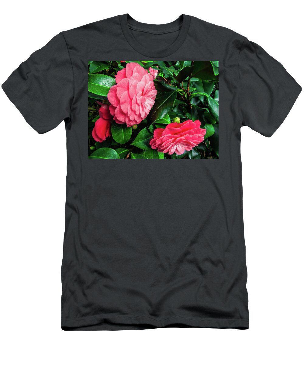 Bird T-Shirt featuring the photograph Camellia Flower by Cesar Vieira