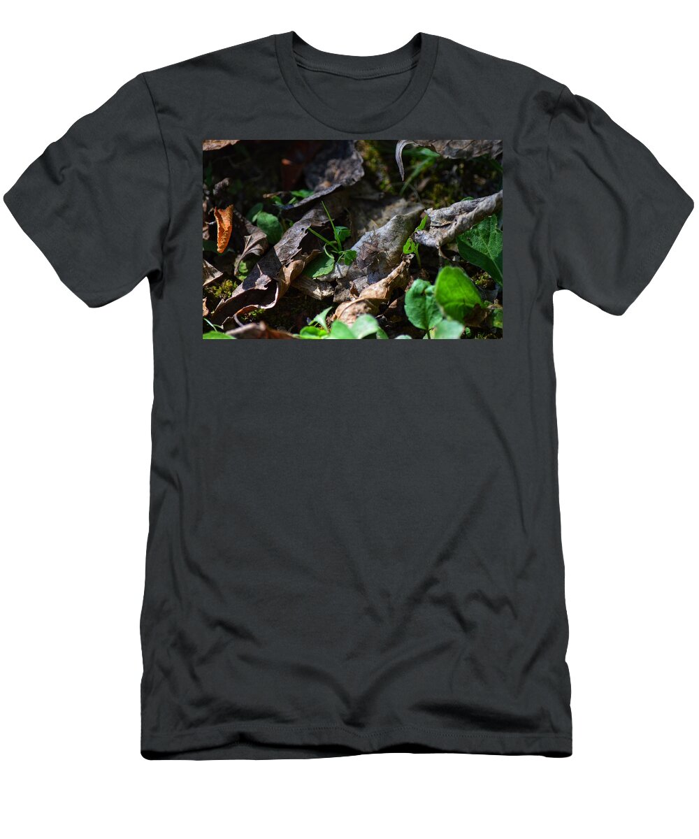 Bug T-Shirt featuring the photograph Camo by Joseph Caban