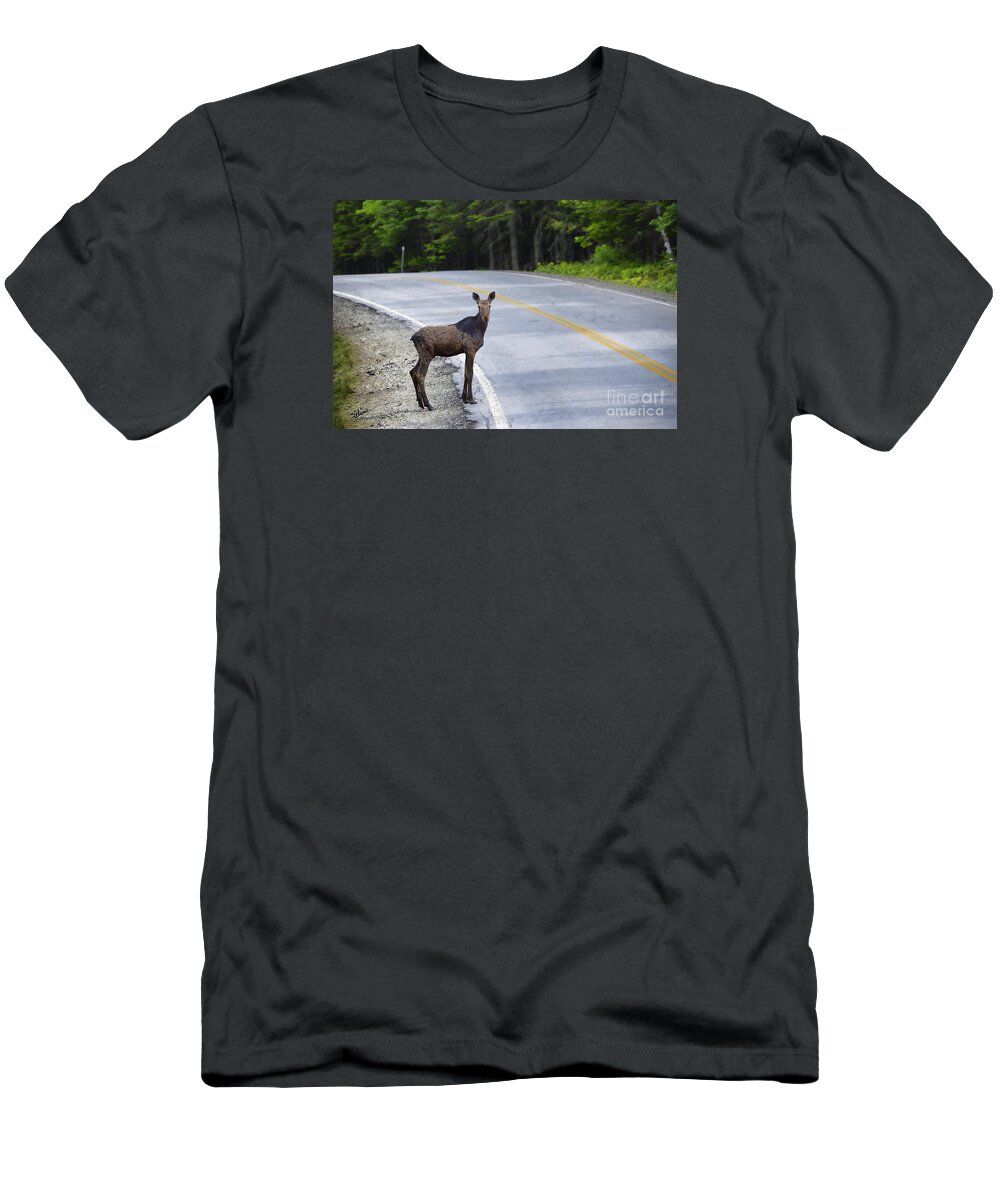 Male T-Shirt featuring the photograph Can I Cross Now by Alana Ranney