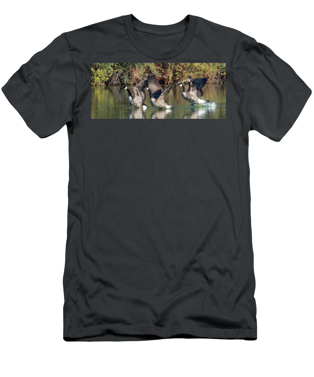 Canada T-Shirt featuring the photograph Canada Geese 5659-092217-1cr-p by Tam Ryan