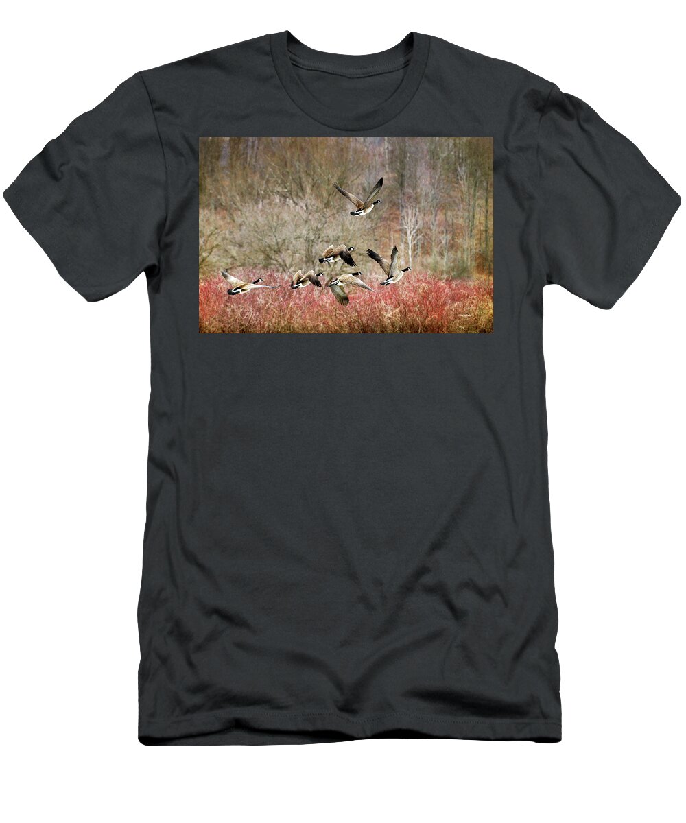 Canada Geese T-Shirt featuring the photograph Canada Geese In Flight by Christina Rollo