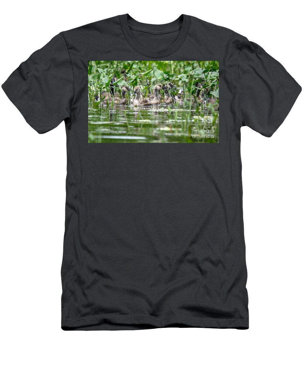 Cheryl Baxter Photography T-Shirt featuring the photograph Canadian Geese on the Pond by Cheryl Baxter
