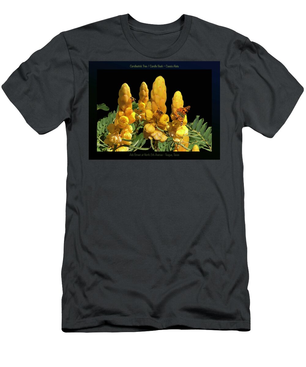 Yellow Flowers T-Shirt featuring the photograph Candle Bush - Cassia Alata POSTER by Robert J Sadler