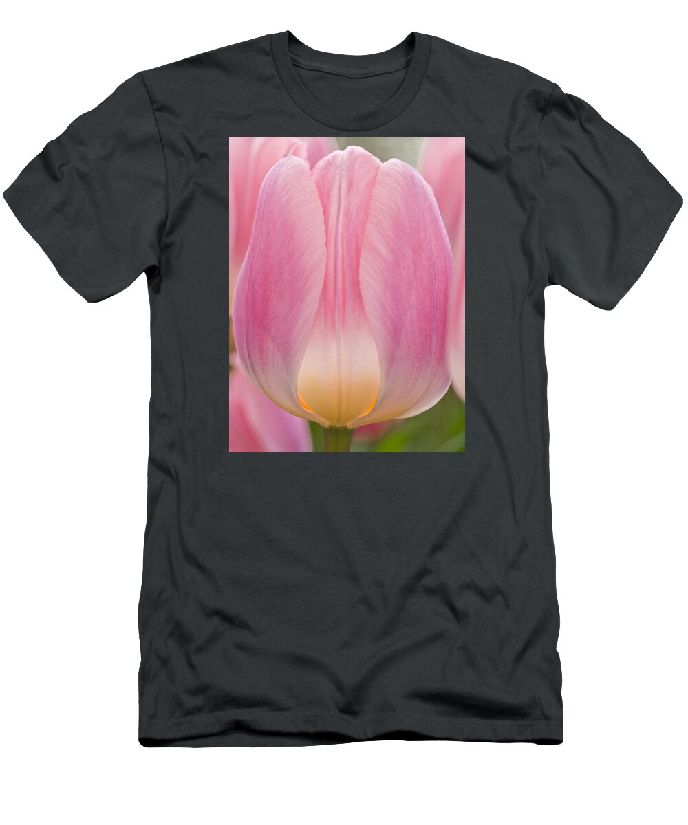 Beauty T-Shirt featuring the photograph Candlelight by Eggers Photography