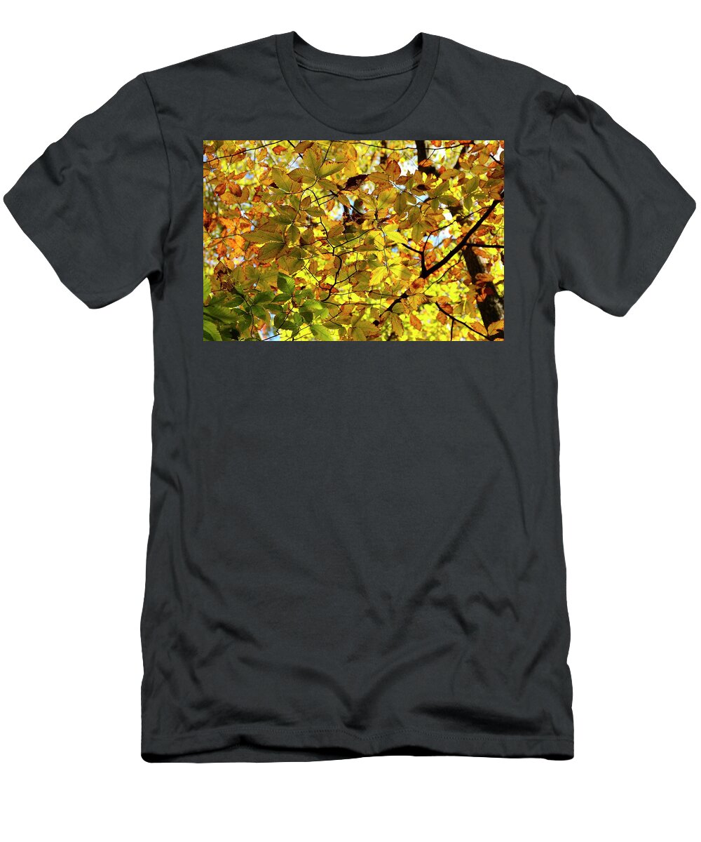 Autumn T-Shirt featuring the photograph Canopy of Autumn Leaves by Angie Tirado