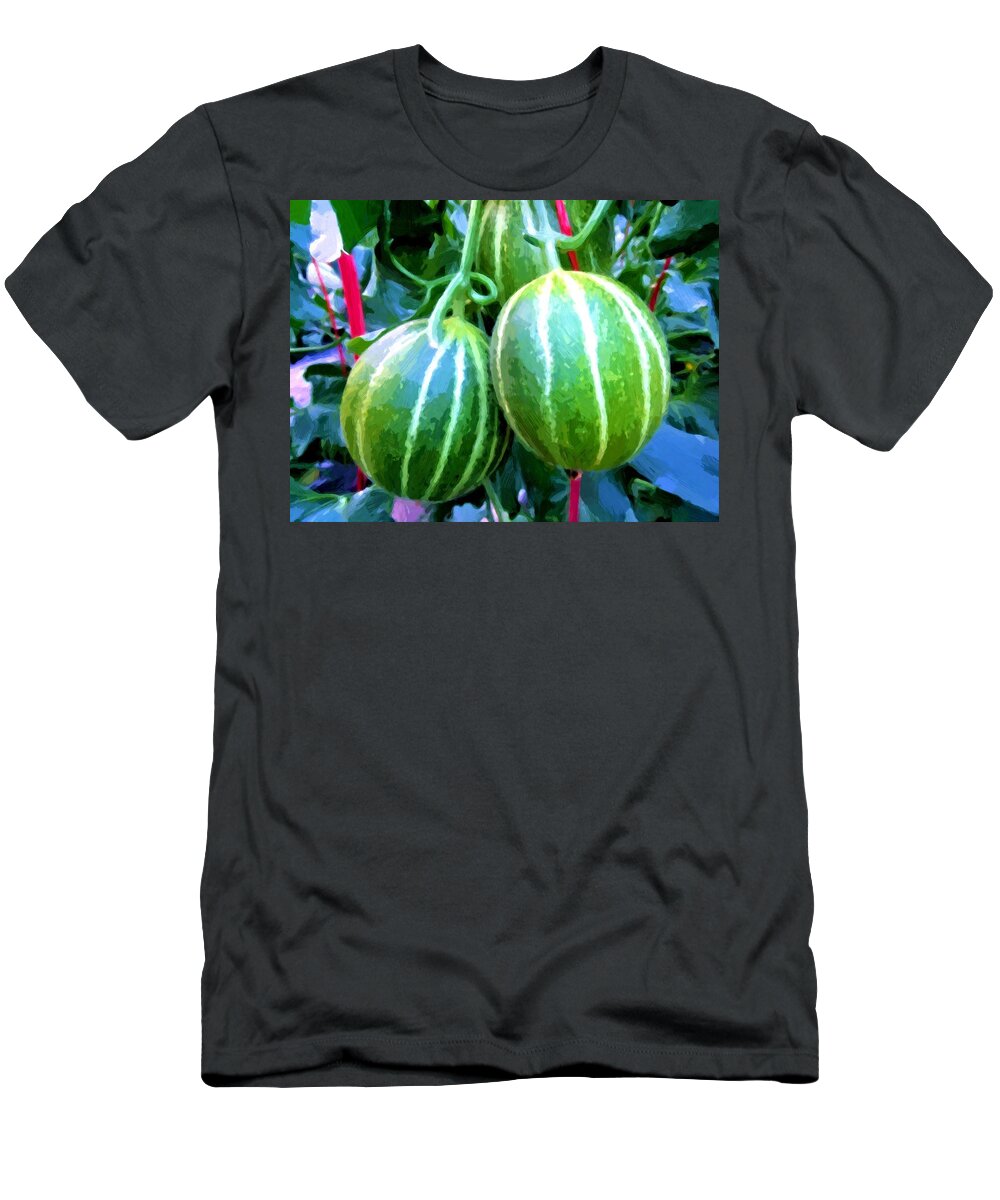 Tree T-Shirt featuring the painting Cantaloupe hanging on tree by Jeelan Clark