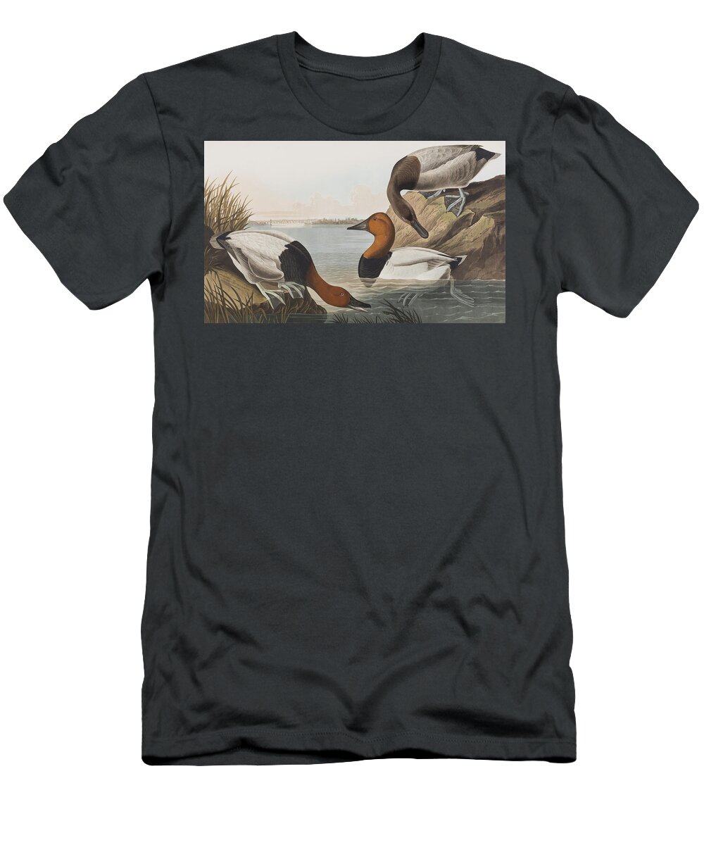 Audubon T-Shirt featuring the painting Canvas backed Duck by John James Audubon