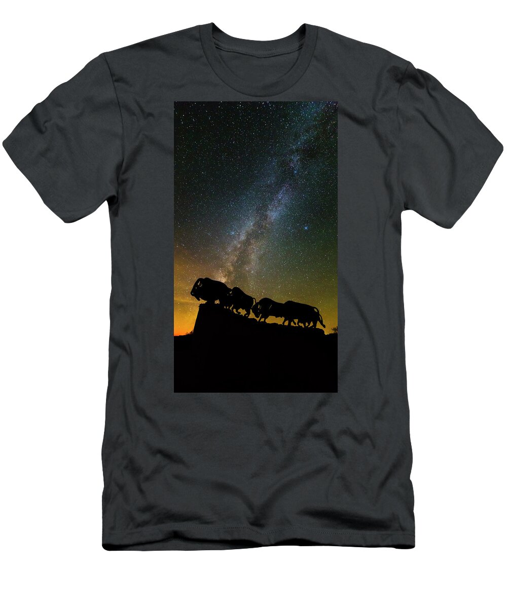 Caprock Canyons State Park T-Shirt featuring the photograph Caprock Canyon Bison Stars by Stephen Stookey