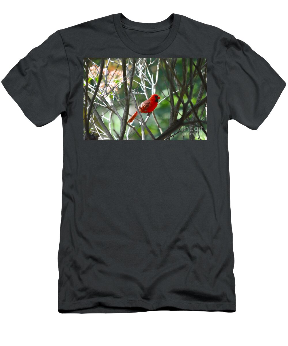 Birds T-Shirt featuring the photograph Cardinal by Dani McEvoy