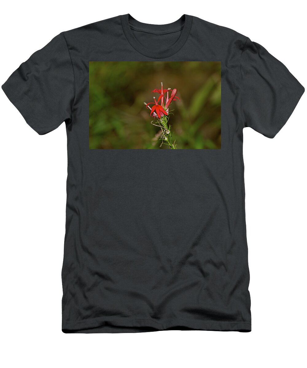 Animal T-Shirt featuring the photograph Cardinal Flower by Jack R Perry