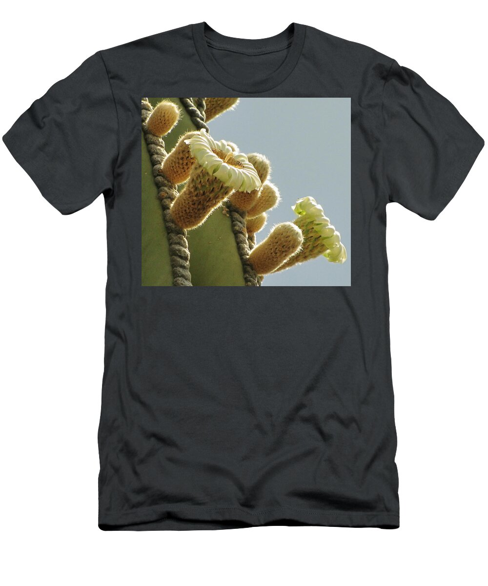 Cardon Cactus T-Shirt featuring the photograph Cardon Cactus Flowers by Marilyn Smith
