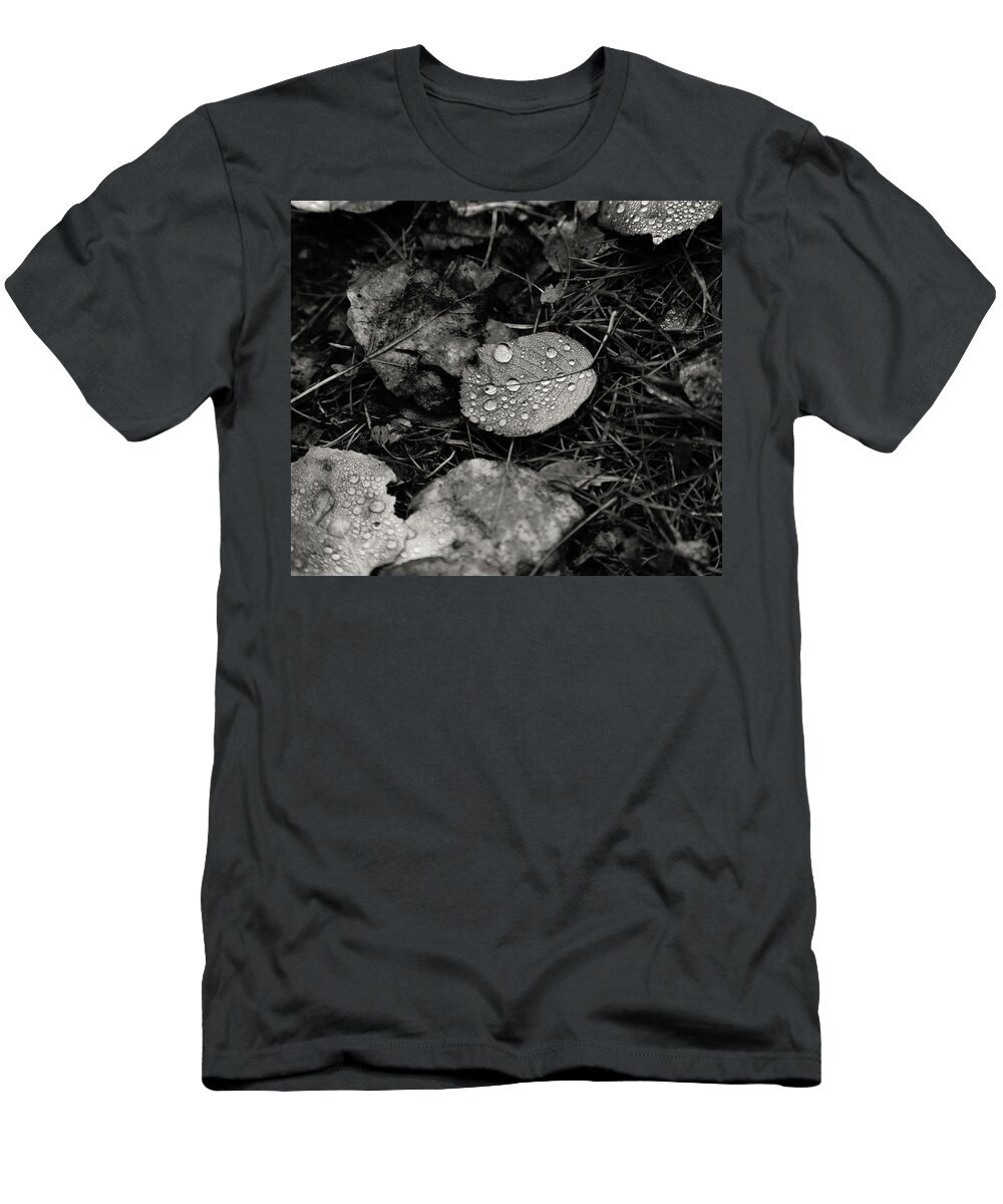 Leaf Leaves T-Shirt featuring the photograph Care For Free by J C