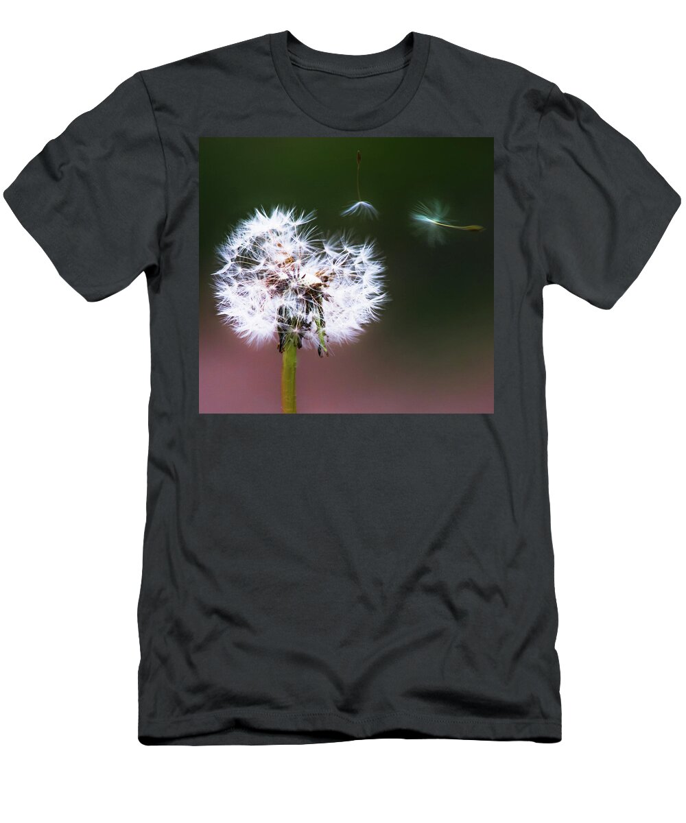 Dandelion T-Shirt featuring the photograph Carried by the Wind by Parker Cunningham