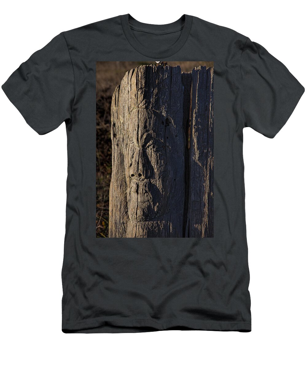 Carved T-Shirt featuring the photograph Carved Fence Post by Garry Gay