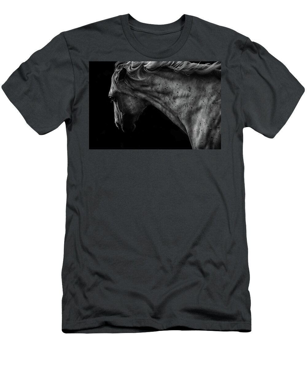  T-Shirt featuring the photograph Carved in Stone by Ryan Courson