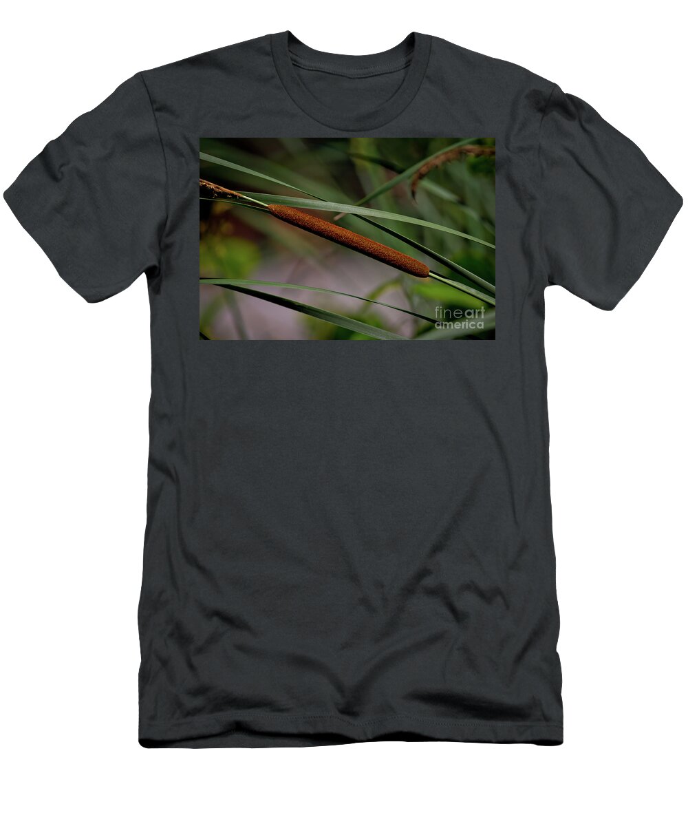Cattail T-Shirt featuring the photograph Cattail II by Douglas Stucky
