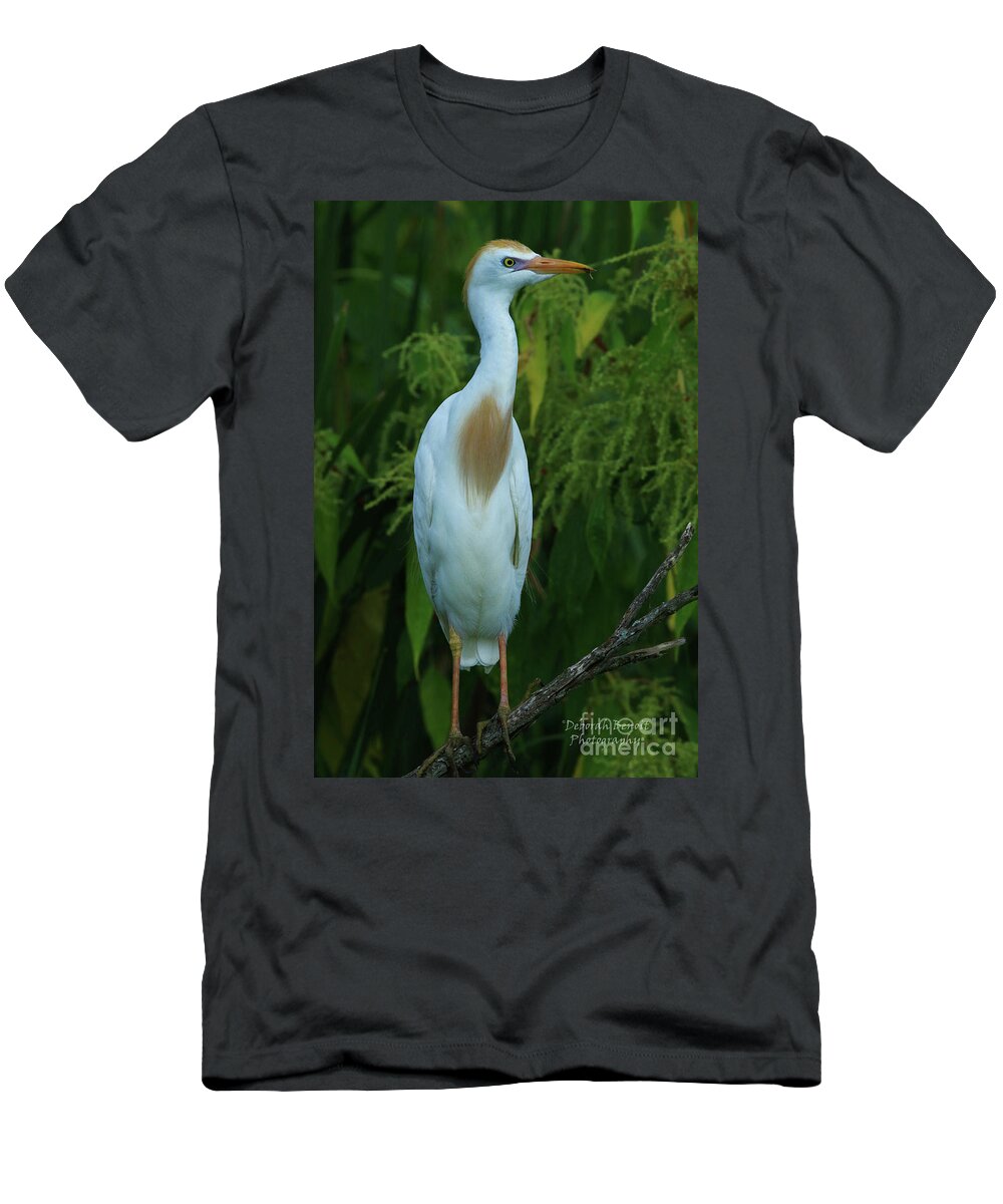 Egret T-Shirt featuring the photograph Cattle Egret by Deborah Benoit