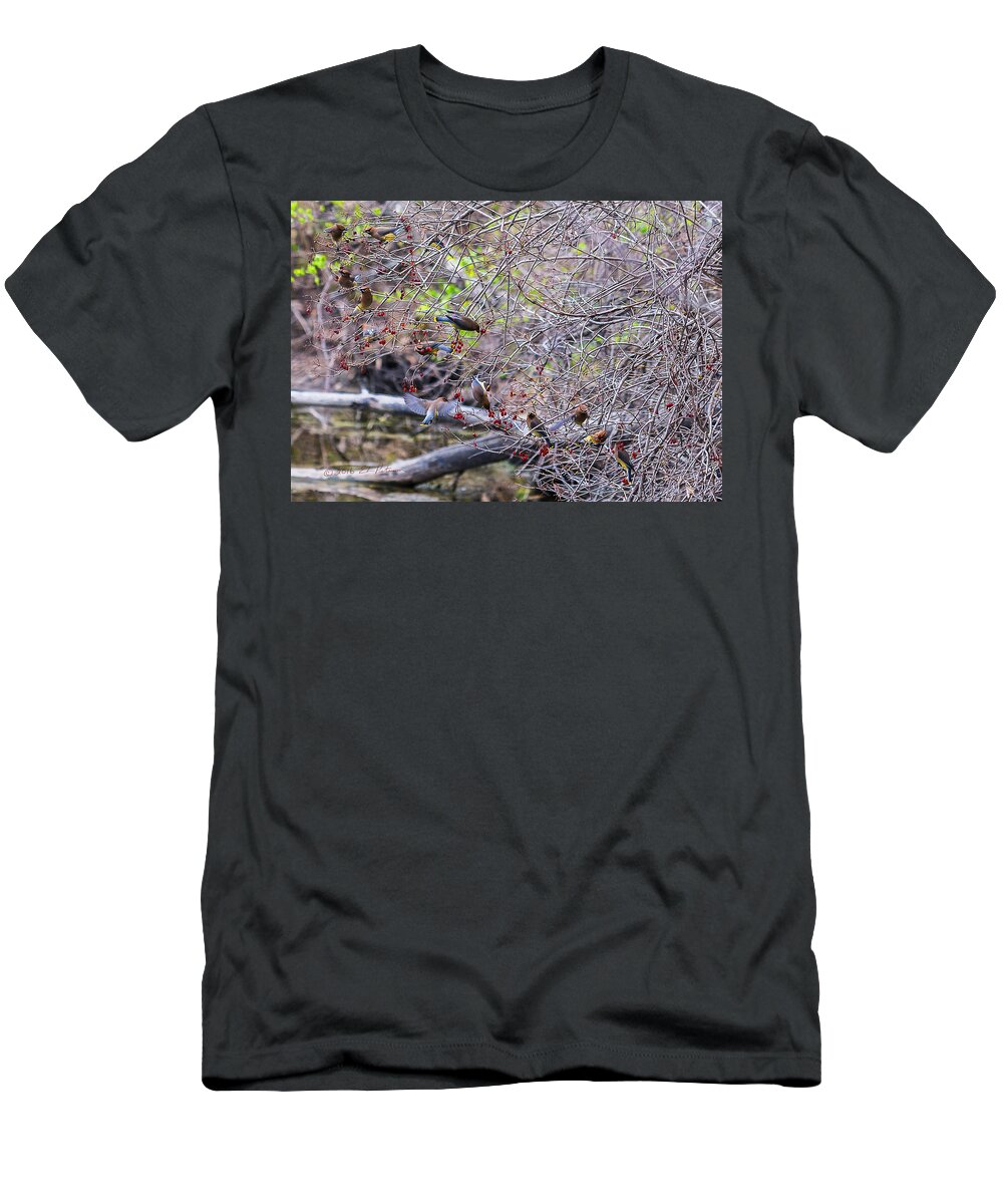 Heron Heaven T-Shirt featuring the photograph Cedar Waxwings Feeding 2 by Ed Peterson