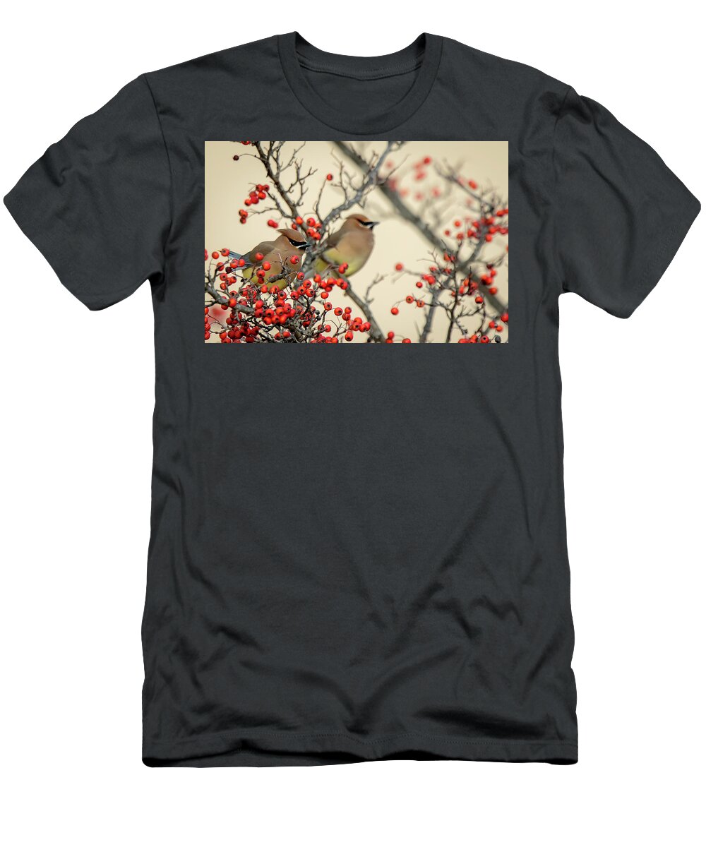 Cedar T-Shirt featuring the photograph Cedar Waxwings I by Glenn Woodell